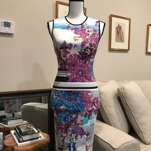 Clover Canyon Floral Print Body Con Dress